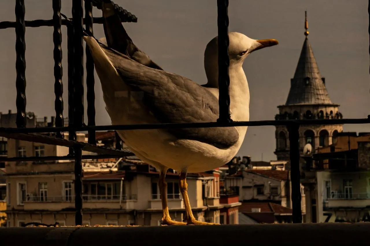 Galata M84 Aparthotel Istanboel 3*,  Turkije